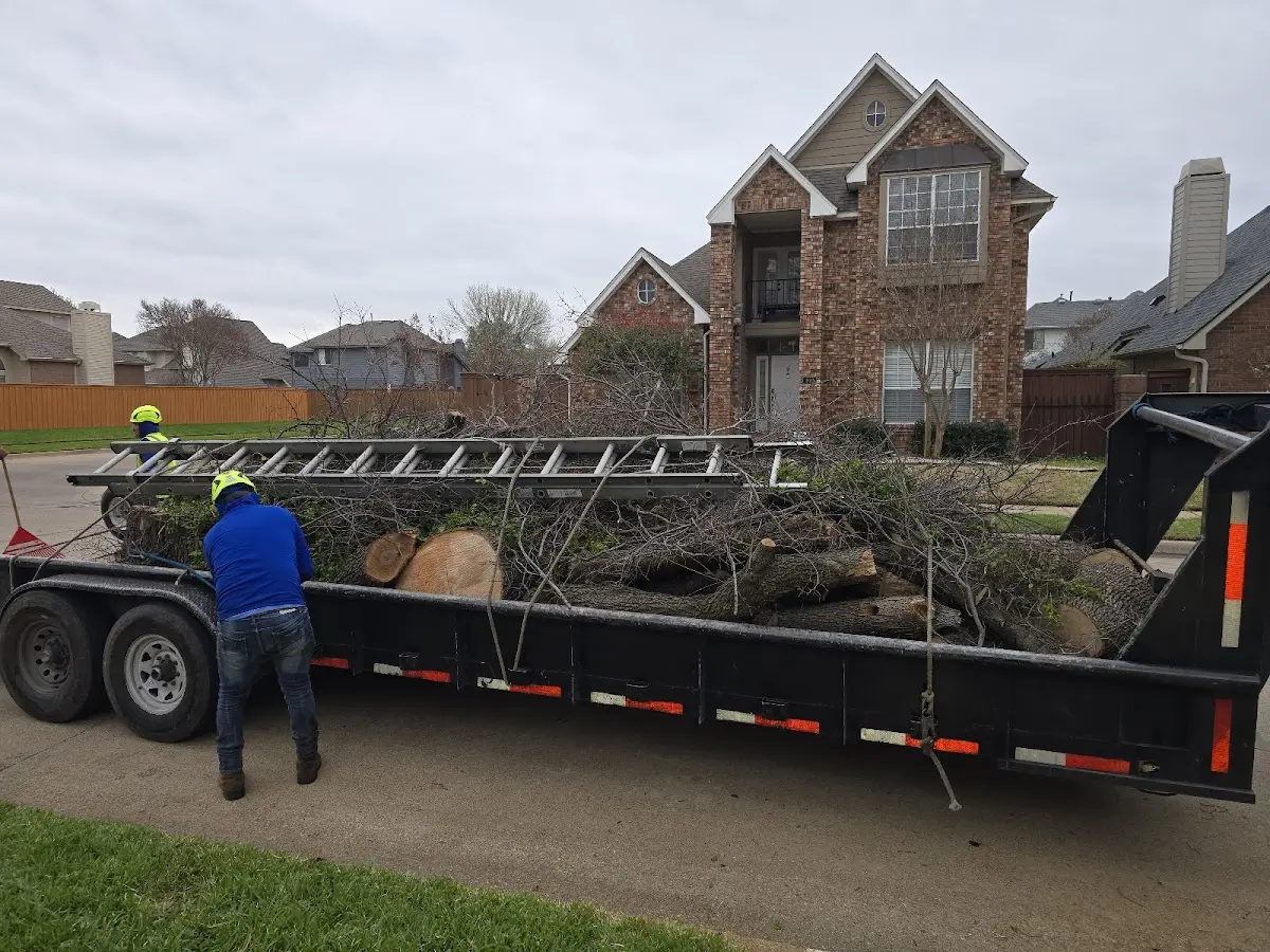 Expert Tree Removal with proper safety equipment in Athol